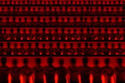 photographie appartenant à la série wounds