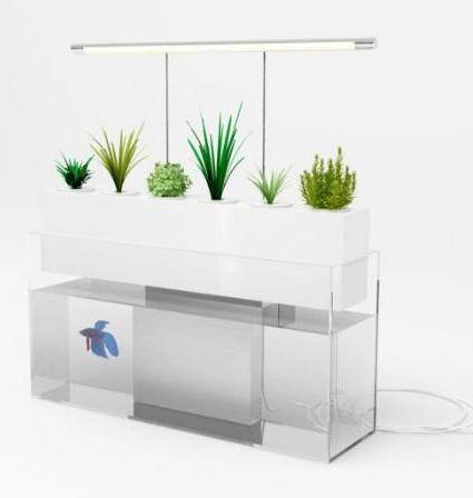 Photographie du projet ENNO de Farm-up