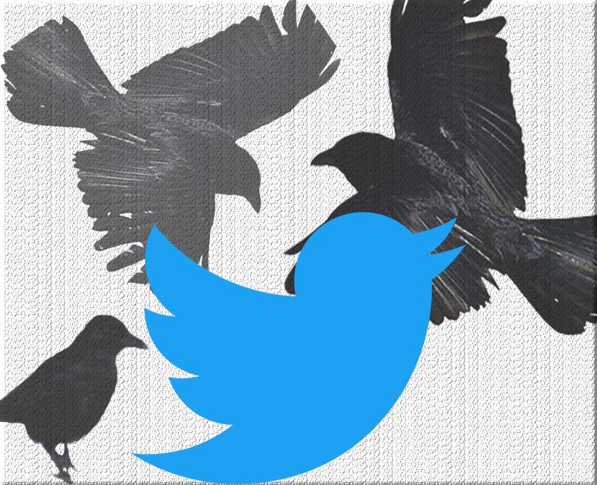 l'oiseau bleu de Twitter aux côtés de corbeaux
