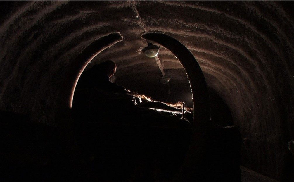 Un homme, dans une cave sombre, entre deux défenses de mammouth.