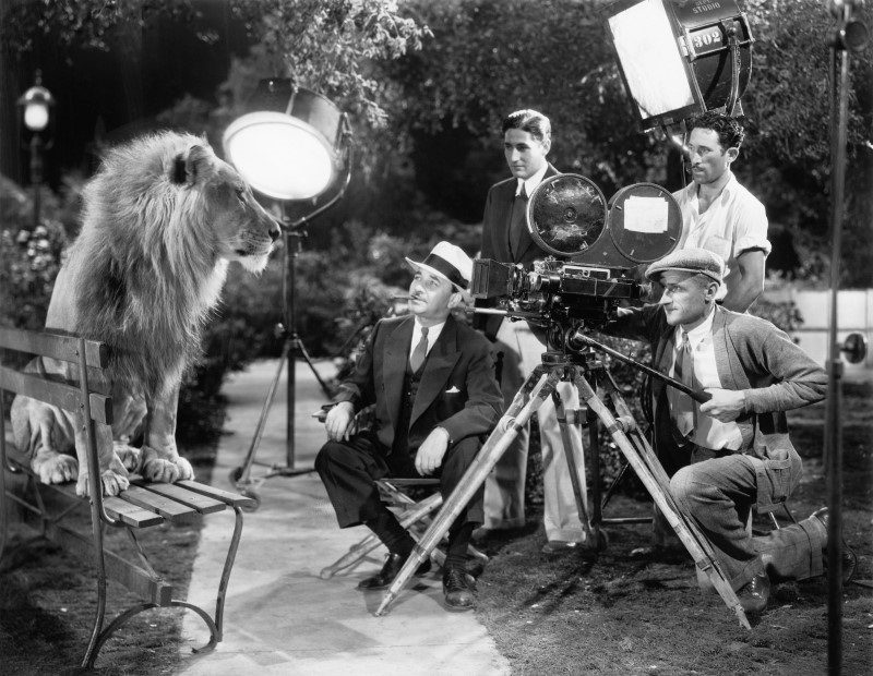 Photo en noir et blanc, représentant un lion, posant pour un tournage de film. Il est assis sur un banc, et regarde la caméra tenue par un homme. Autour de cet homme, des projecteurs de cinéma, et trois autres hommes qui observent la scène. La photo semble avoir été prise durant la première moitié du 20<sup>e</sup> siècle, au vu des vêtements des personnages et du matériel cinématographique.