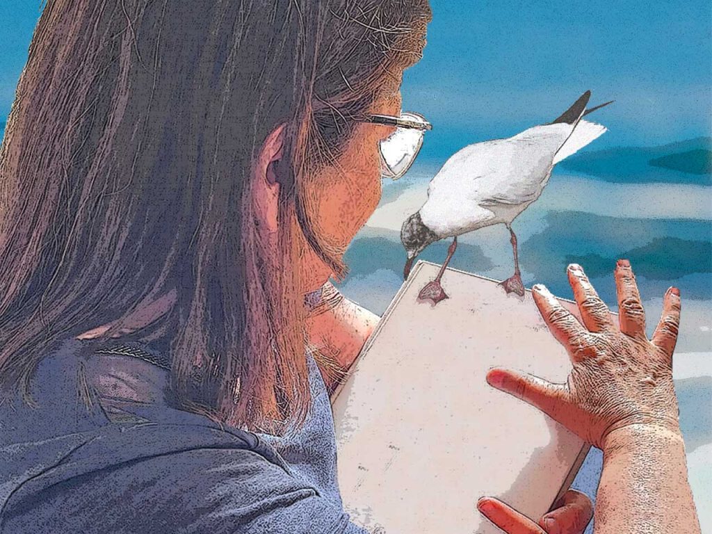 Photomontage : une femme, de dos, caresse un livre sur lequel est perchée une mouette. Fond bleu évoquant une scène d'été au bord de la mer