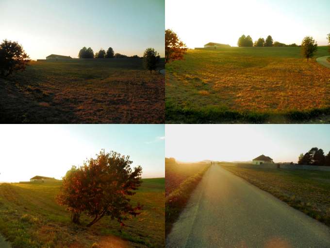 Vues d'un champ à Mathausen