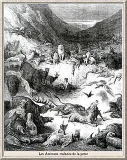 Gravure de Doré, Les animaux malades de la peste