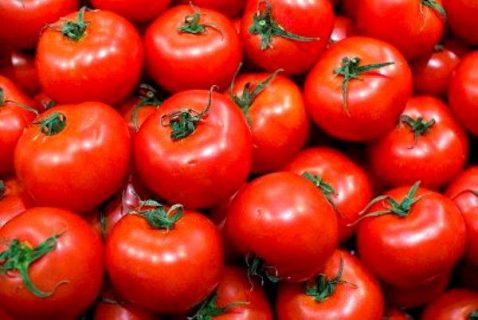 photographie de tomates