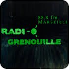 lien vers radio grenouille