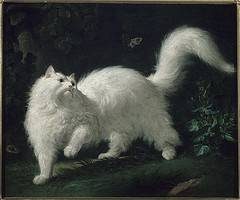 Tableau de JJ Bachelier représentant un chat blanc