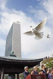 Dossier de la Documentation française sur l'ONU