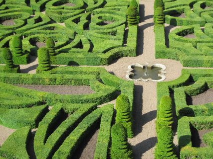 Photographie des jardins du château de Villandry