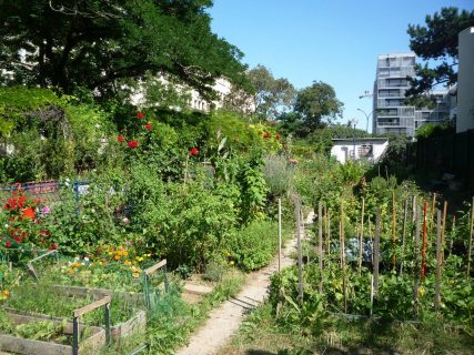 jardin partagé rue des Mariniers, 14e arrondissement de Paris