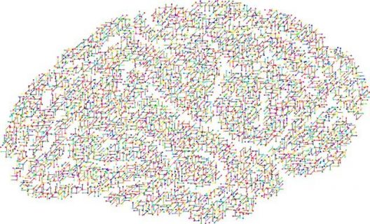 Un cerveau sous forme de réseaux de neurones