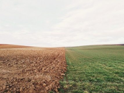 champs coupé en deux, à gauche terre, à droite herbe