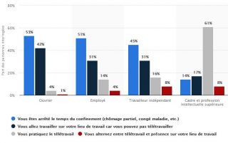 Statista | Situation professionnelle des confinés par CSP en France