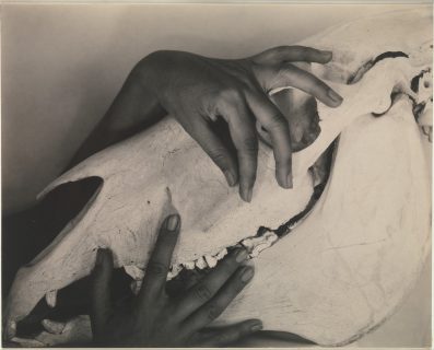 Photographie en noir et blanc des mains de Georgia O'Keeffe entourant un crâne de cheval