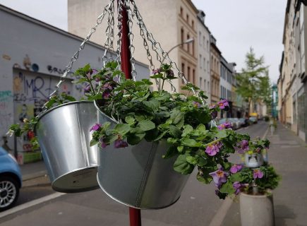 Deux pots de fleurs accrochés à un poteau, en milieu urbain.