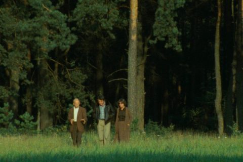 Trois personnes marchent en discutant dans une prairie, derrière laquelle se trouve une forêt.
