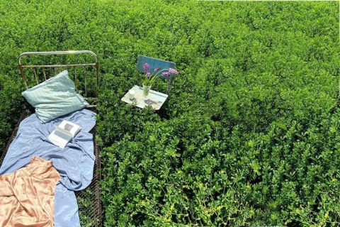 un livre posé ouvert sur un lit en fer, installé dans la verdure comme dans une chambre