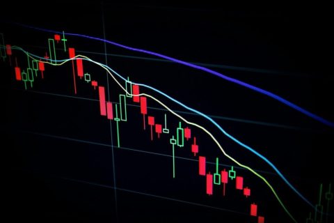 Graphique représentant différentes courbes d'évolution de valeur financière