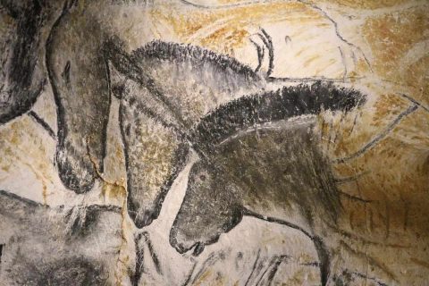 Photo de dessins de chevaux présents sur les murs de la grotte de Chauvet